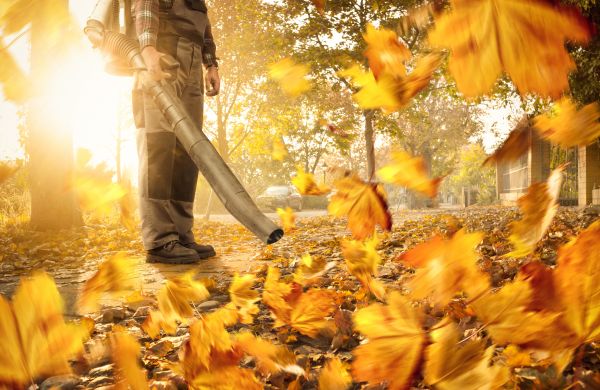 Leaf Blowing Service in Sterling