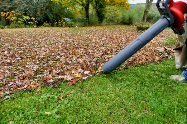 Leaf Vacuuming Service in Sterling