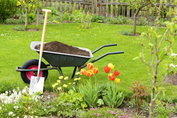 Spring Yard Cleanup in Sterling