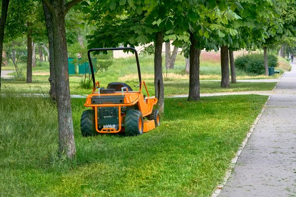Landscaping Cleanup Service in Sterling