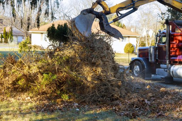 Storm Debris Removal in Sterling