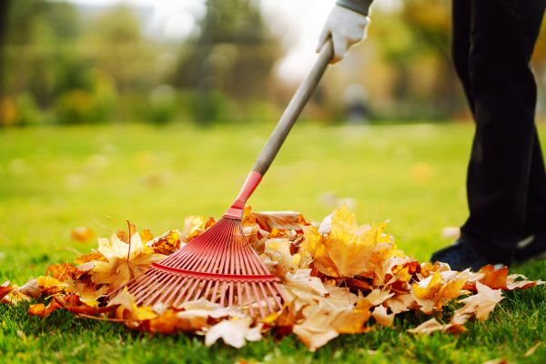 Ditch Leaf Removal in Sterling