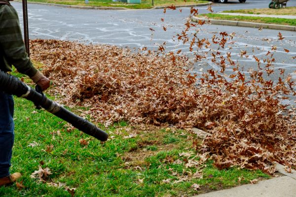 Garden Leaf Removal in Sterling