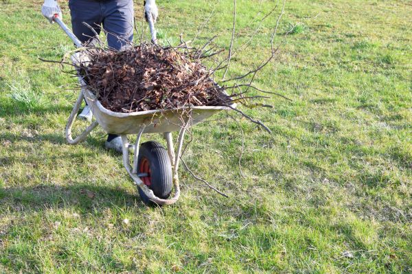 Yard Brush Removal in Sterling