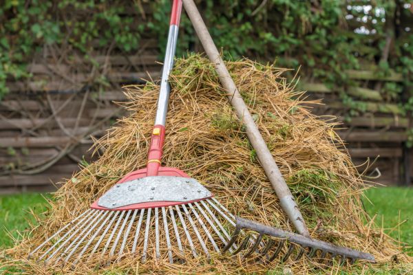 Pine Straw Clearing in Sterling