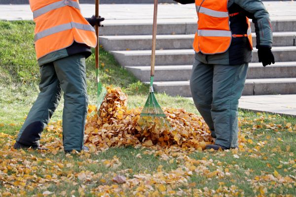 Leaf Hauling Service in Sterling