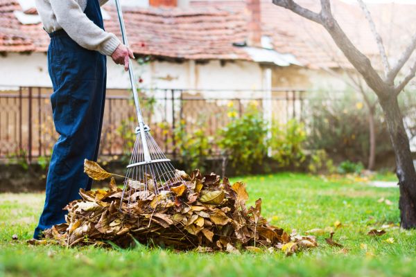 Spring Lawn Cleanup in Sterling