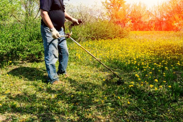 Yard Clearing Service in Sterling
