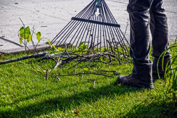 Yard Debris Cleanup in Sterling