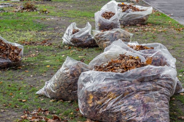 Leaf Pile Disposal in Sterling