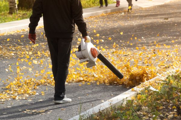Commercial Leaf Removal in Sterling