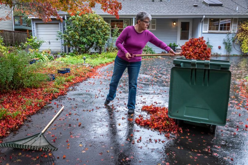 Leaf Removal in Fall