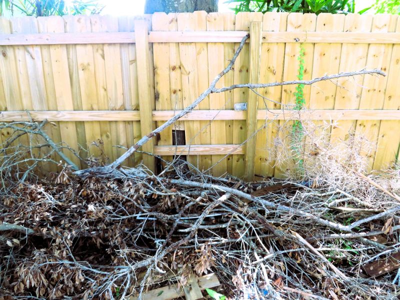 Wood Pile Removal detail