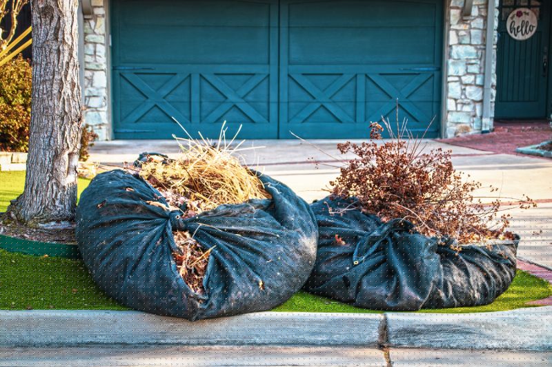 Lawn Waste Removal